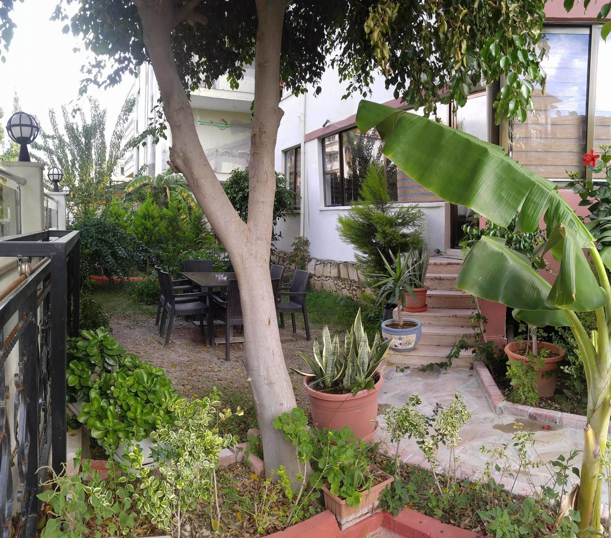 Asem Hotel ألانيا المظهر الخارجي الصورة